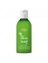 HOJA DE OLIVO Gel exfoliante suavizanteZIAJA